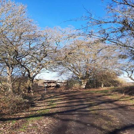 Exklusive Naturoase Direkt Am Ars Natura Wanderweg Mit Panoramablick Auf מלסונגן מראה חיצוני תמונה
