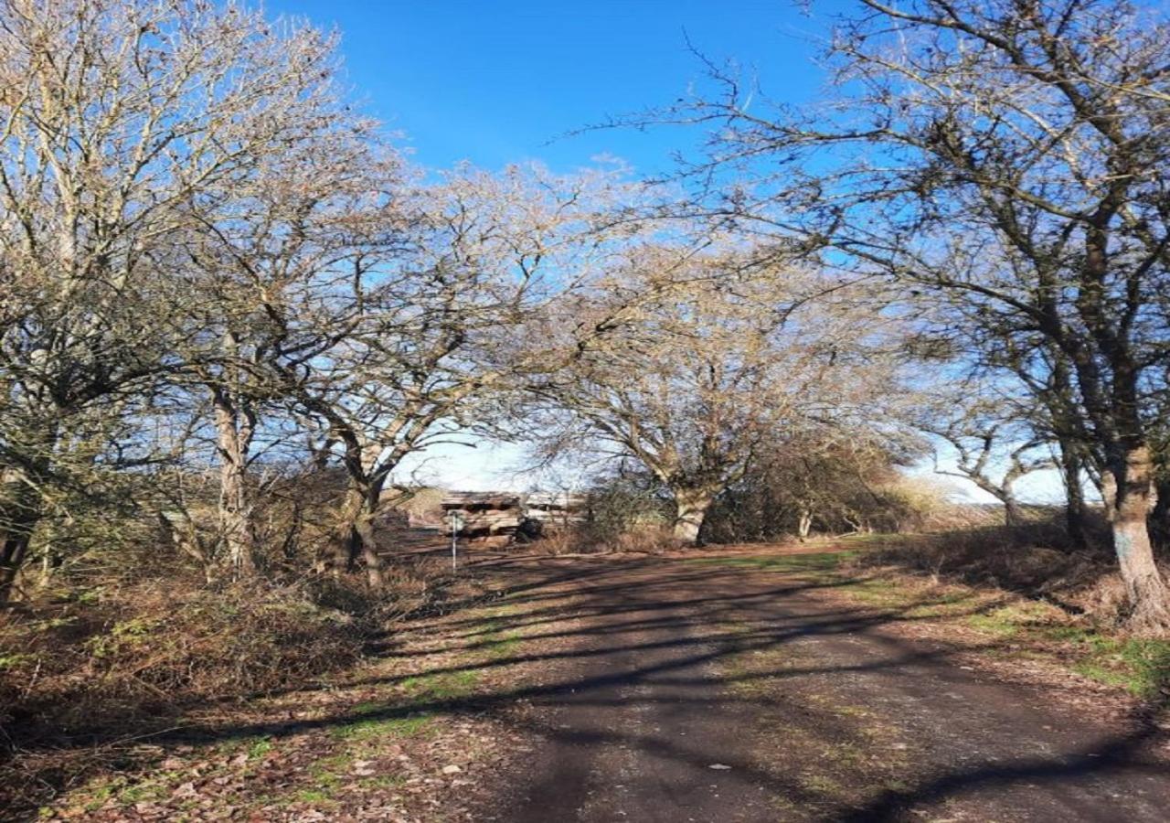 דירות Exklusive Naturoase Direkt Am Ars Natura Wanderweg Mit Panoramablick Auf מלסונגן מראה חיצוני תמונה