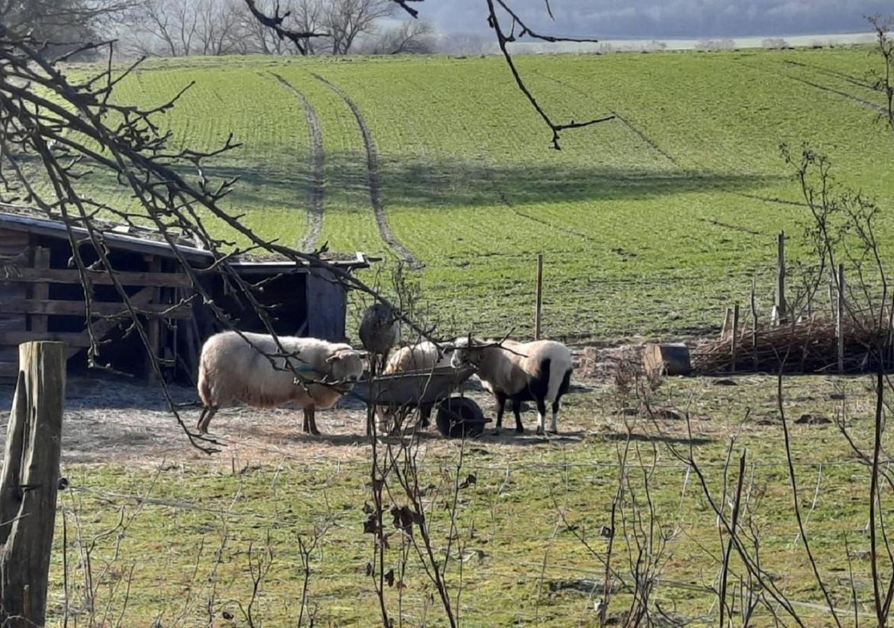 Exklusive Naturoase Direkt Am Ars Natura Wanderweg Mit Panoramablick Auf מלסונגן מראה חיצוני תמונה